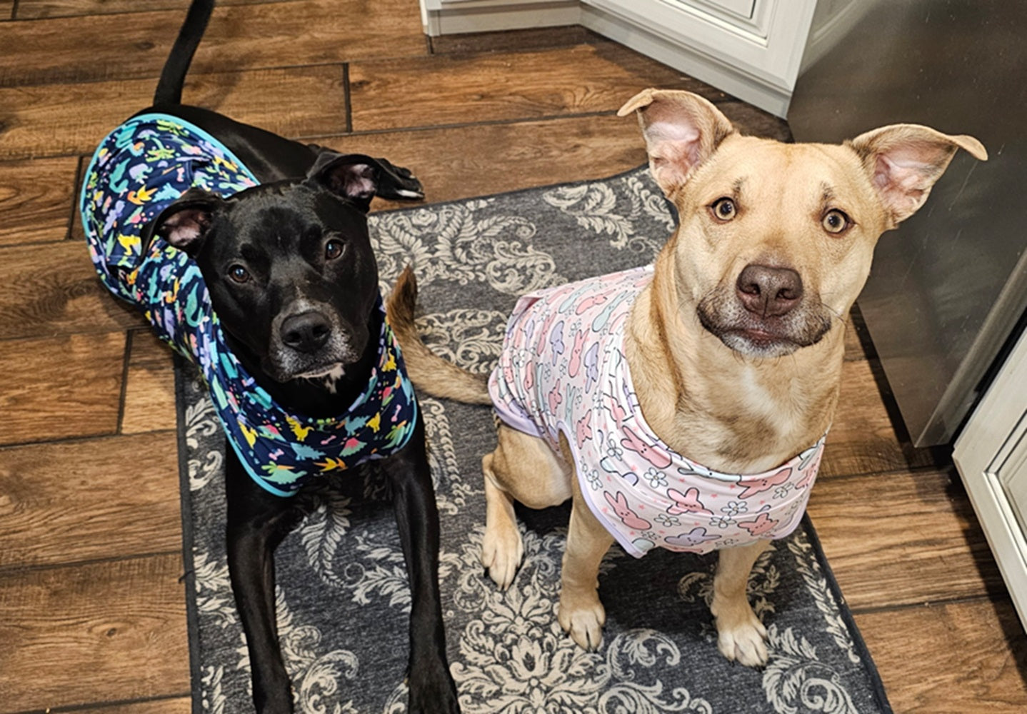 Zoey & Cole Unleashed