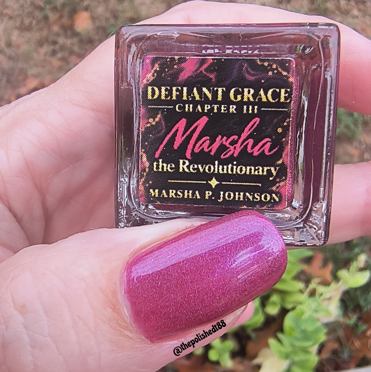 Marsha the Revolutionary