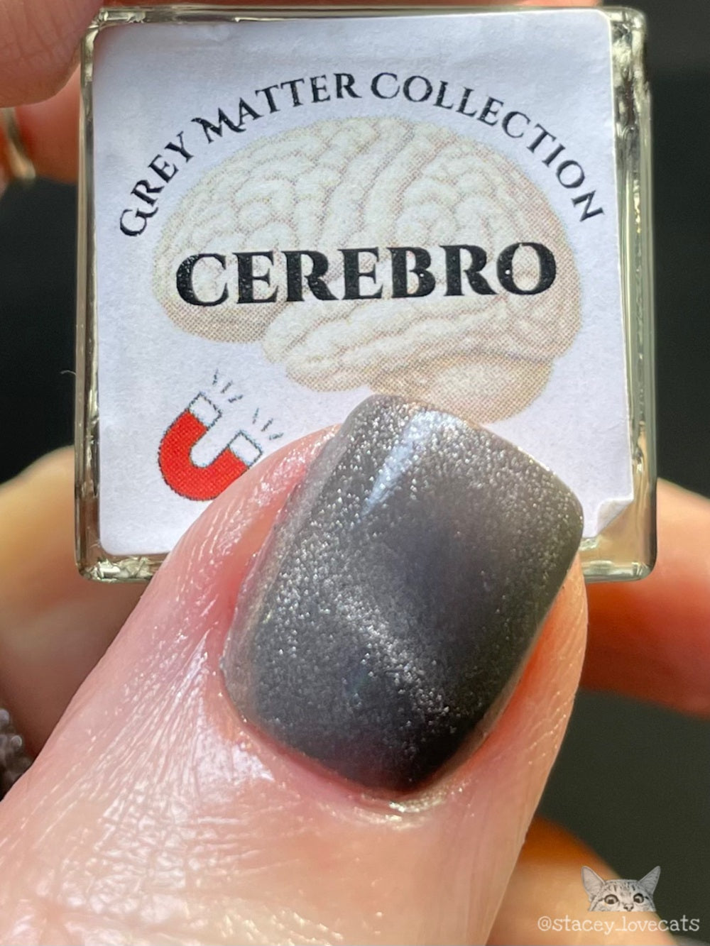Cerebro