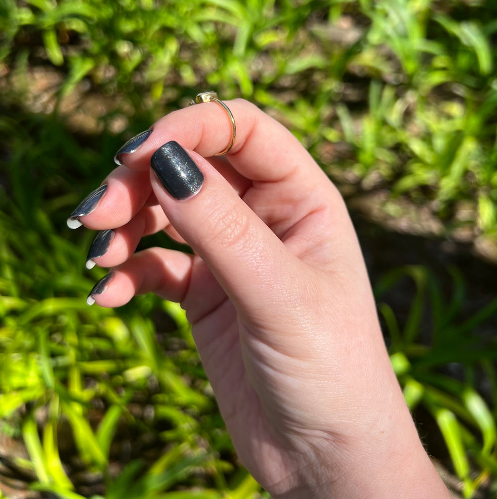 Substantia Nigra